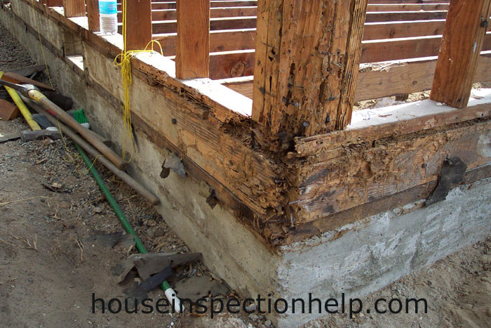 Wood Framing Termite Damage