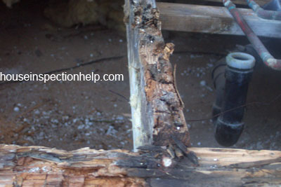 close up of wood floor joist water damage framing 