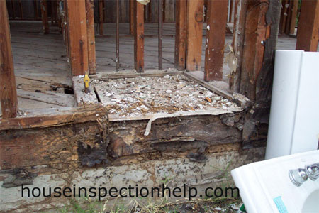 termite and water damage from water heater in old house